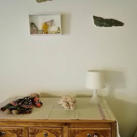 Casa Do Alto - Benfeita Bed & Breakfast エクステリア 写真