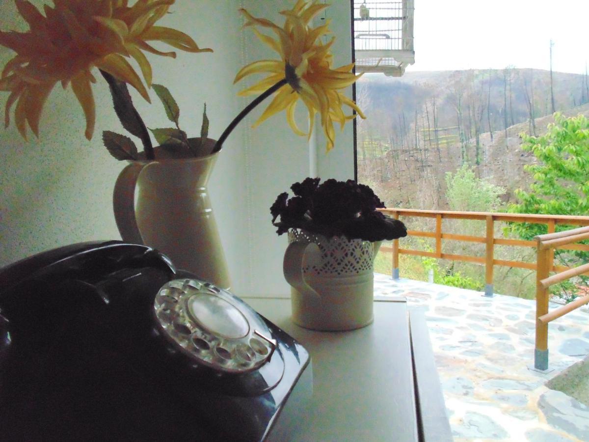 Casa Do Alto - Benfeita Bed & Breakfast エクステリア 写真