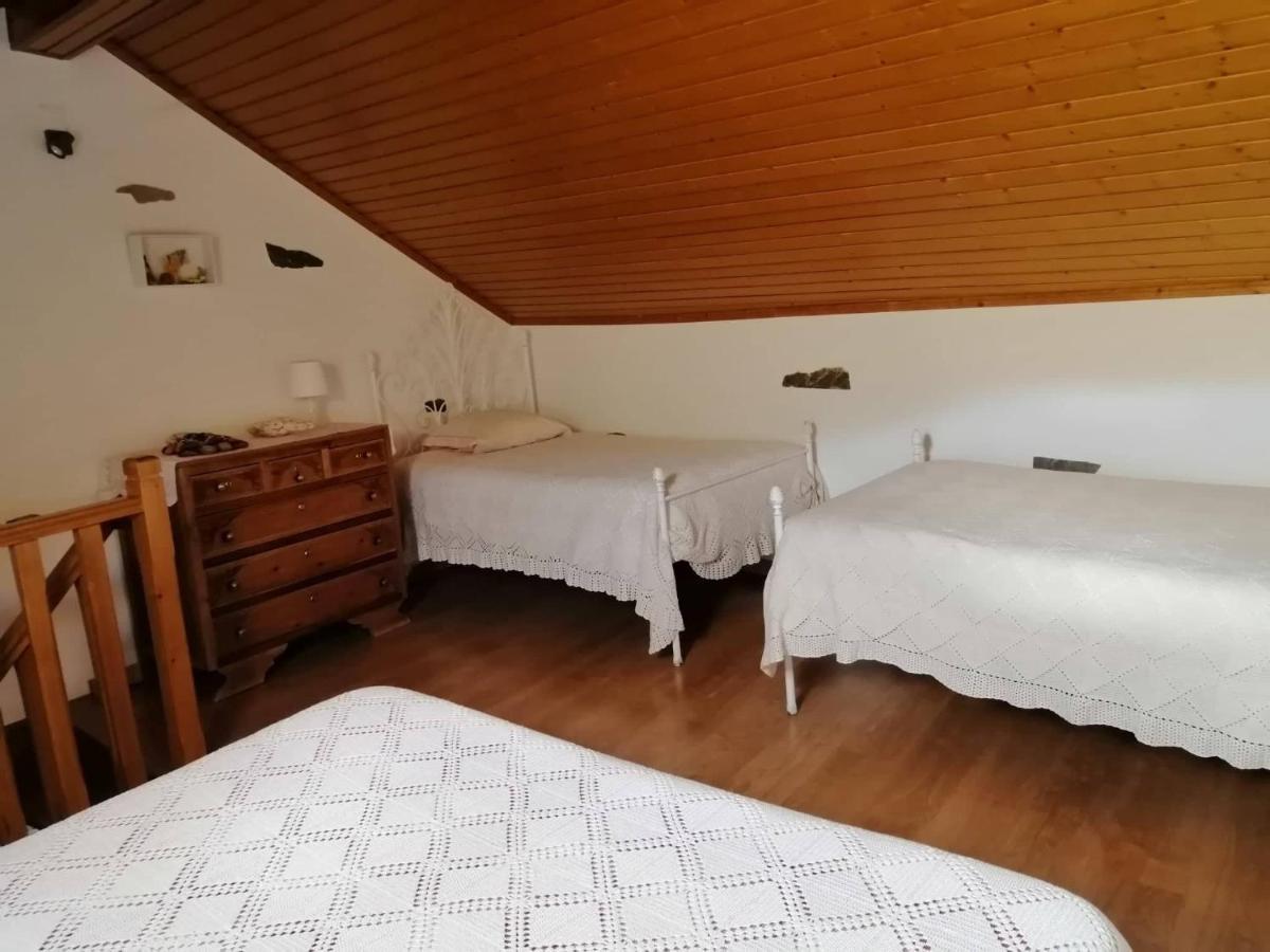 Casa Do Alto - Benfeita Bed & Breakfast エクステリア 写真